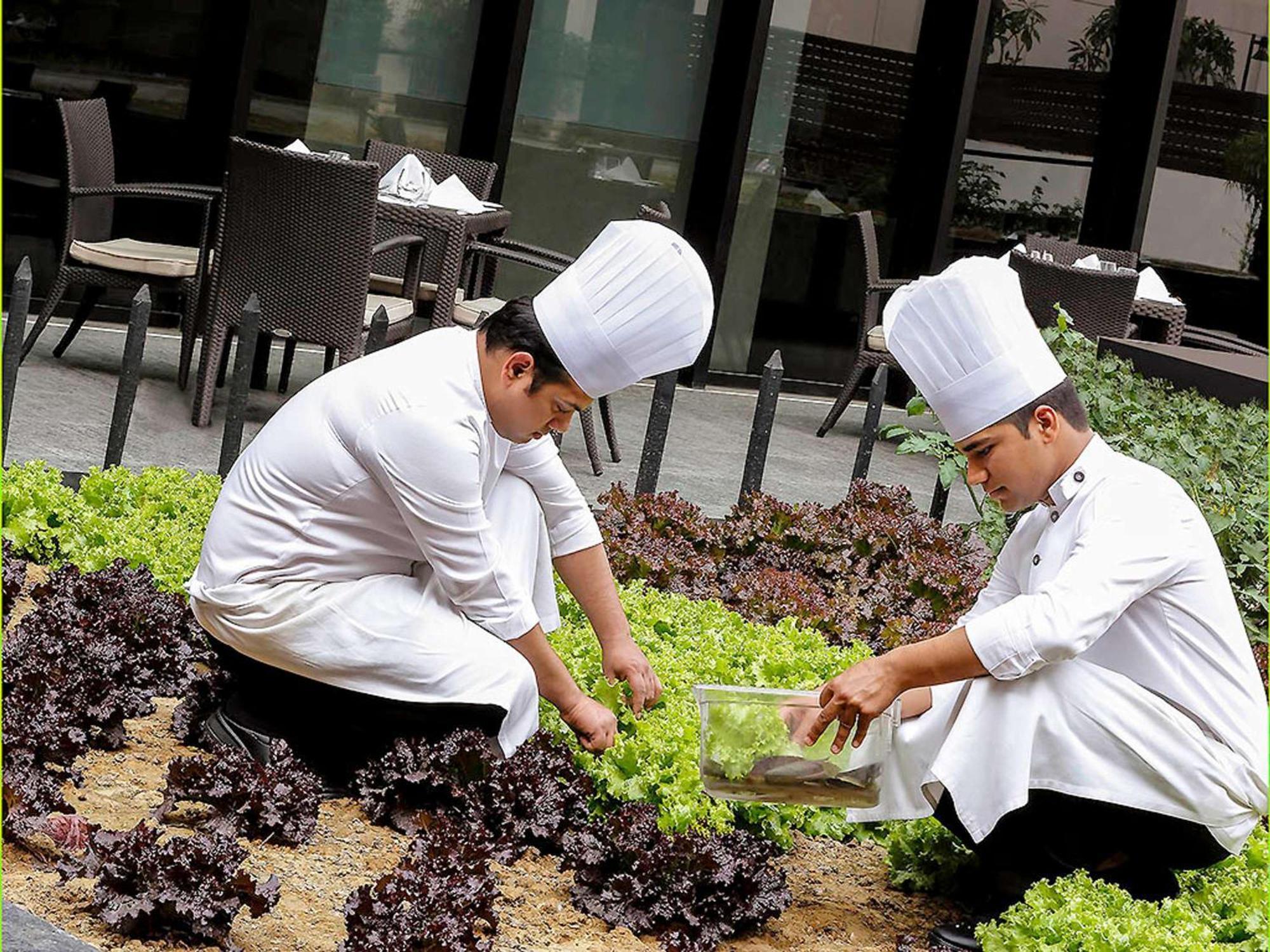 Pullman New Delhi Aerocity Eksteriør billede Students working in the school's garden
